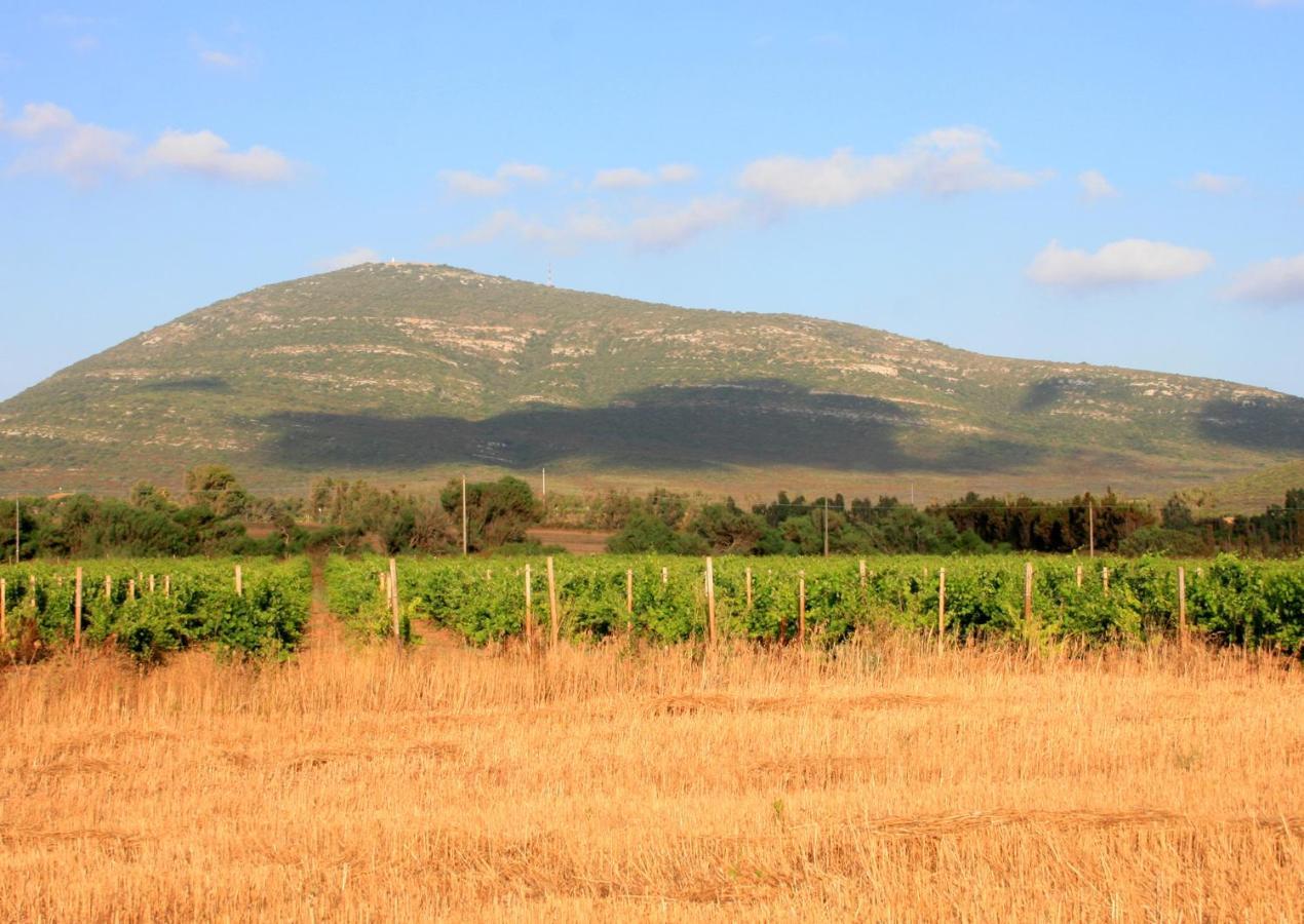 Agriturismo Da Pina Порто-Конте Екстер'єр фото